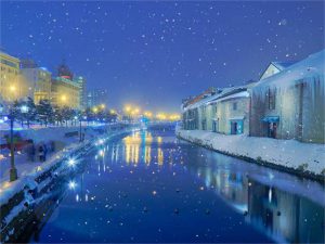 小樽の雪