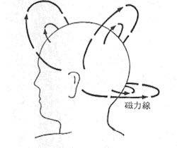 磁力線