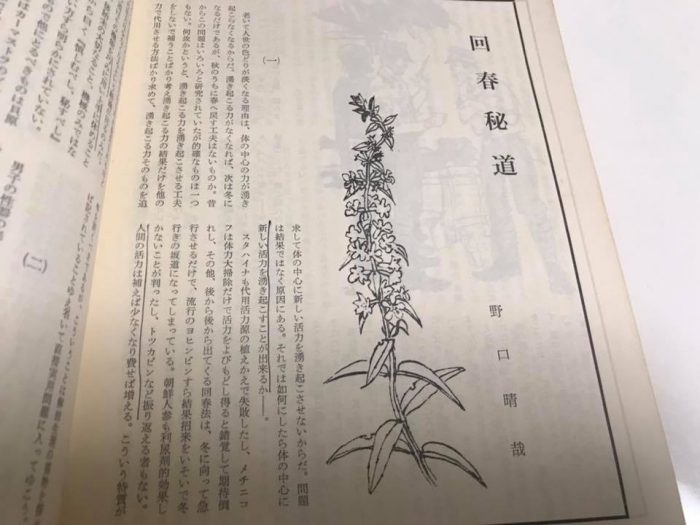 回春秘道